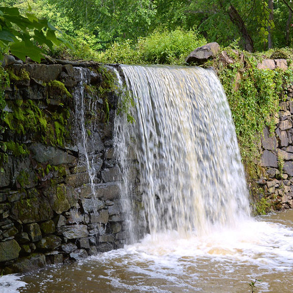 Greensboro's Parks