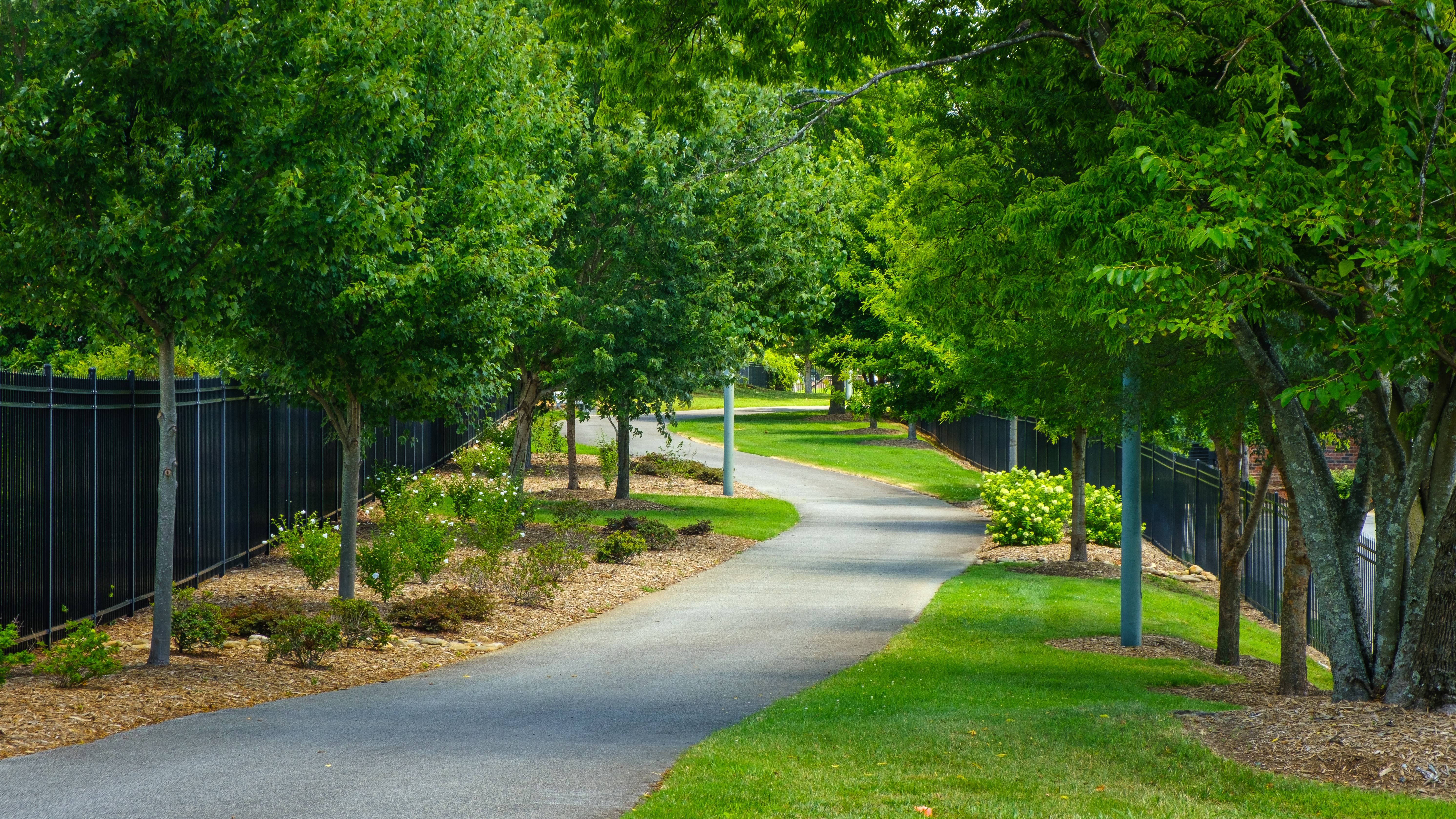 downtown greenway