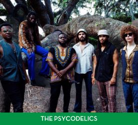 The-Psychodelics-Line-Up.jpg