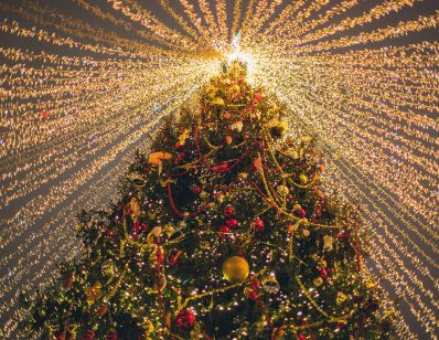 close-up of a tree with tons of lights