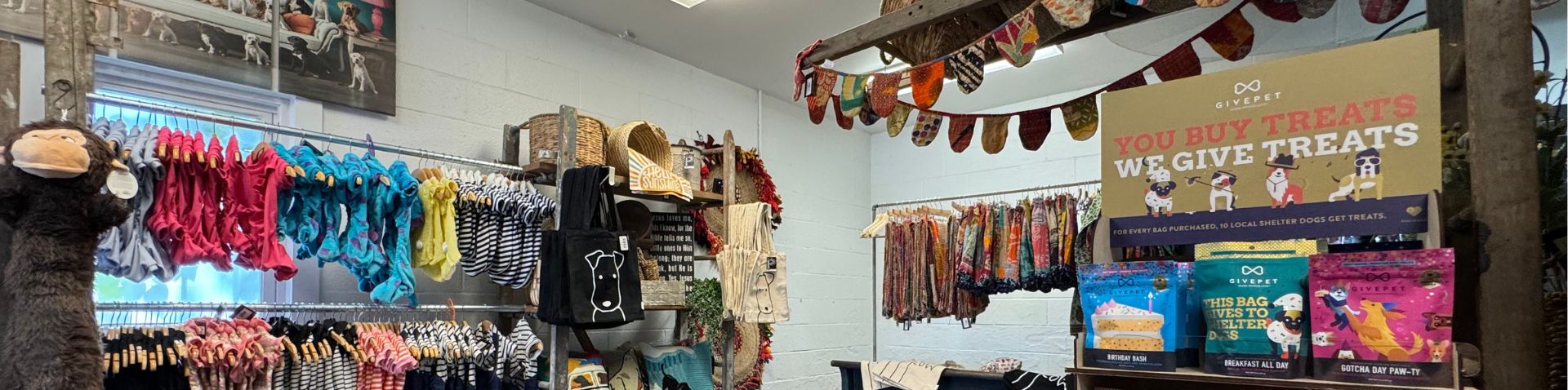 pet clothing and treats