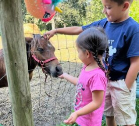 kids feeding a pony