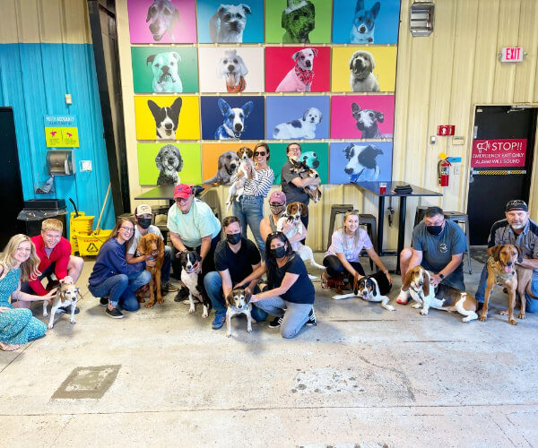 group photo of people and their dogs
