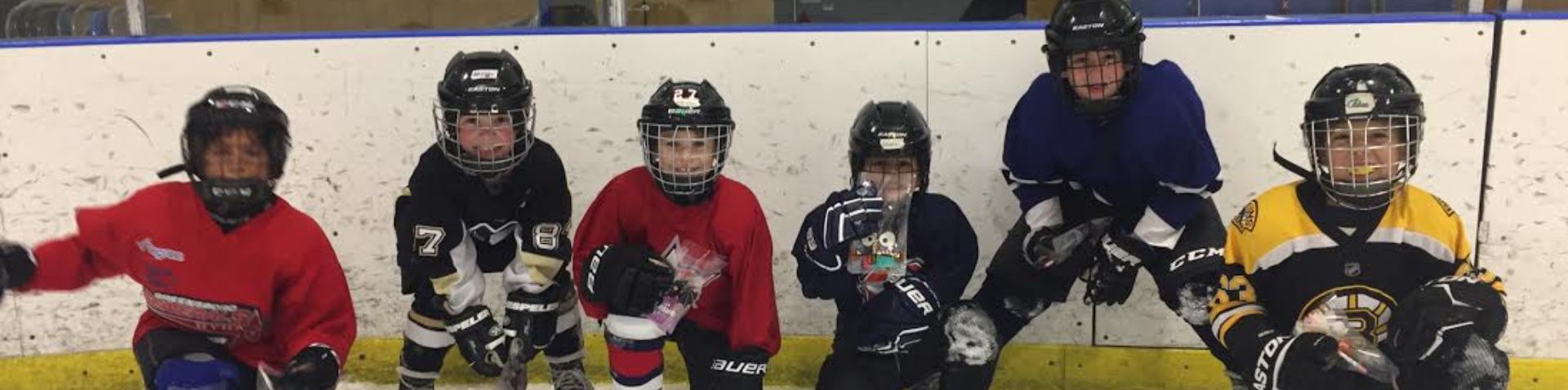 young hockey players