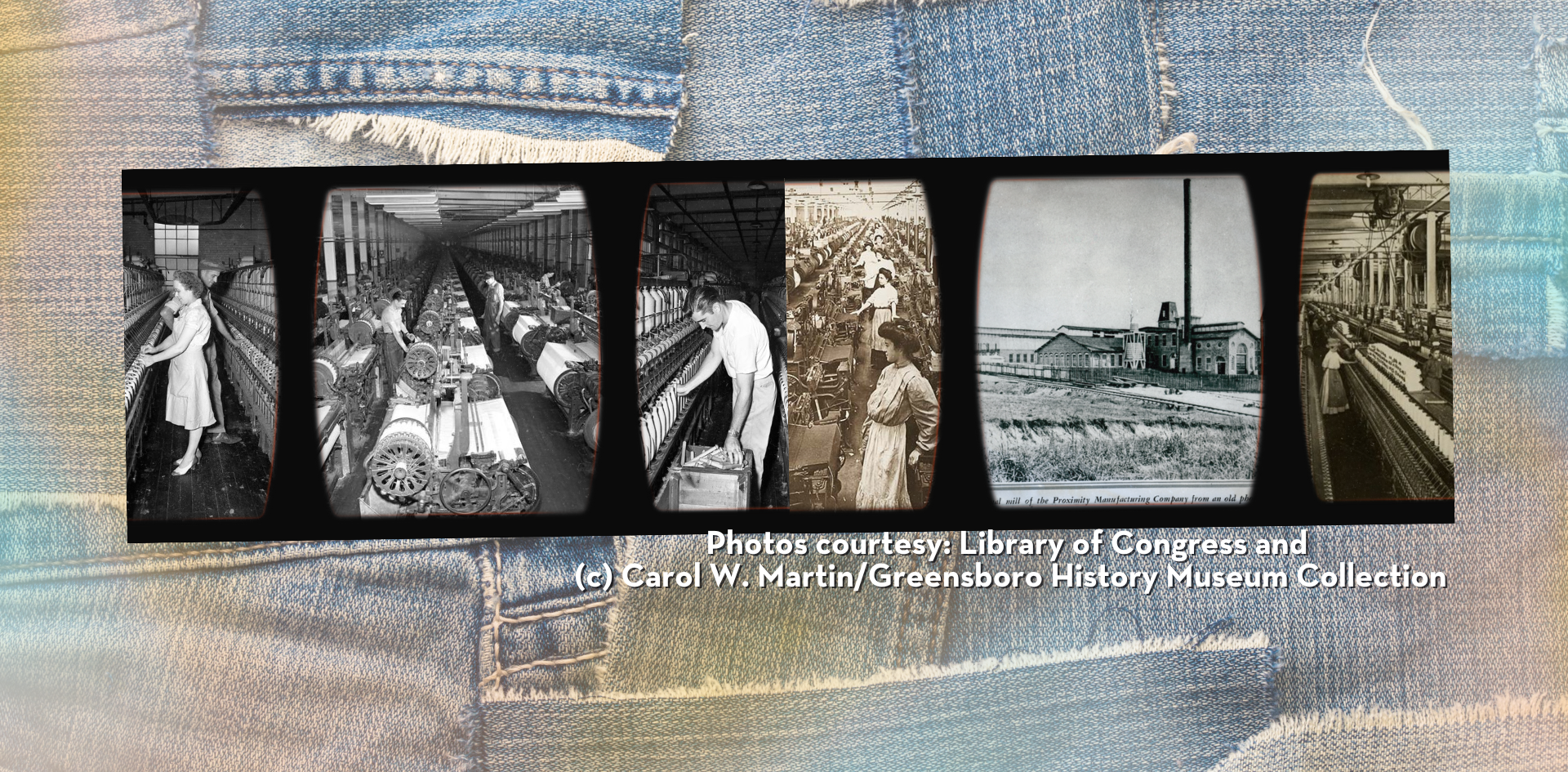 Historical Denim Plant Pictures