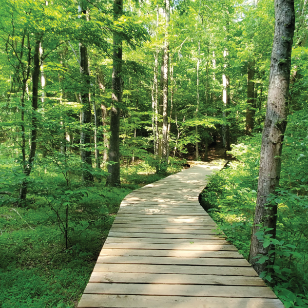 nat greene trail